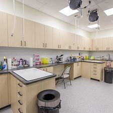 Legacy-Veterinary-Clinic-Calgary-AB 4